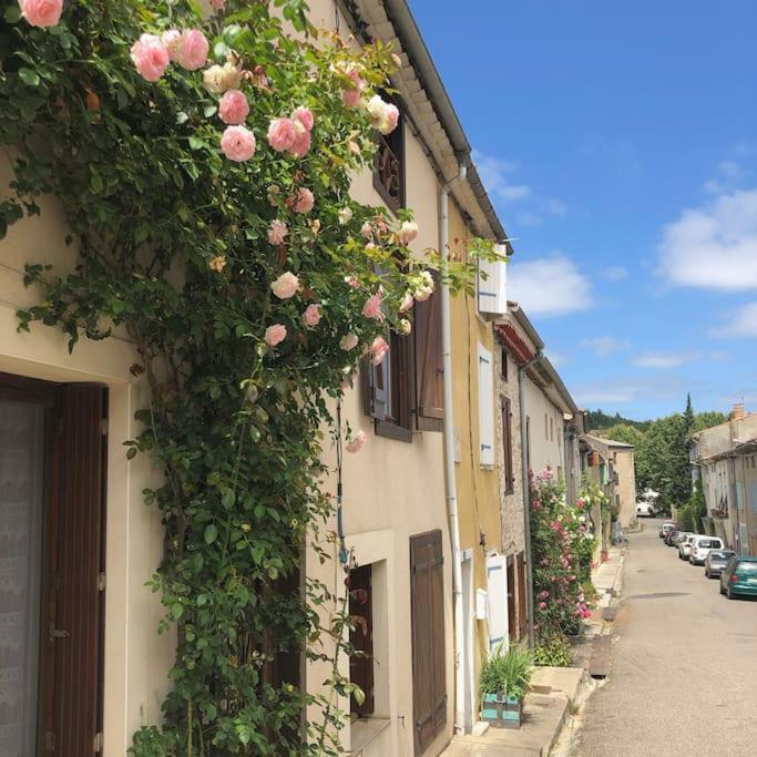 La Maison De Mama C: Charming French Village Home Sainte-Colombe-sur-lʼHers Zewnętrze zdjęcie